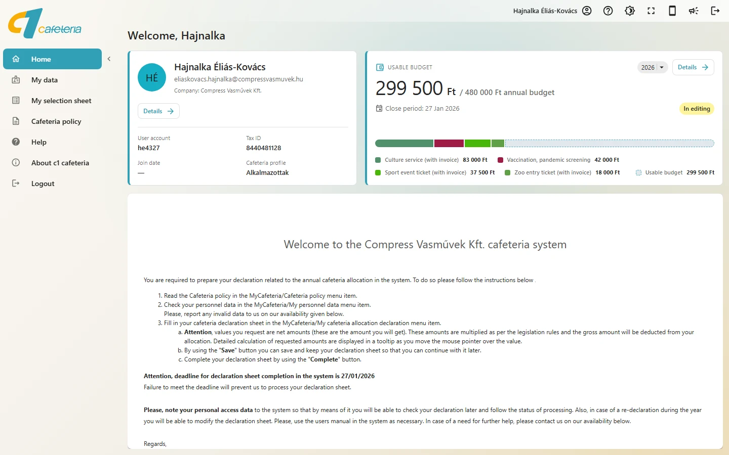 Home page with the budget